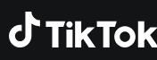 TikTok Logo